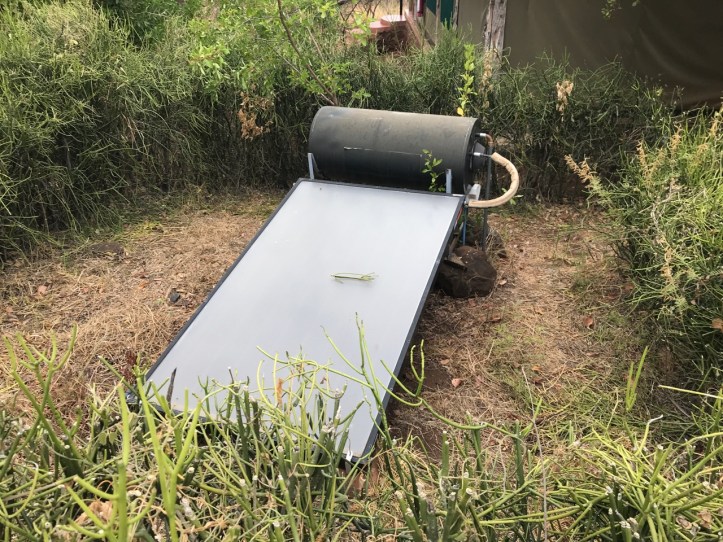 Kids on Safari: Lake Manyara National Park and Kirurumu Manyara Lodge | www.carriereedtravels.com