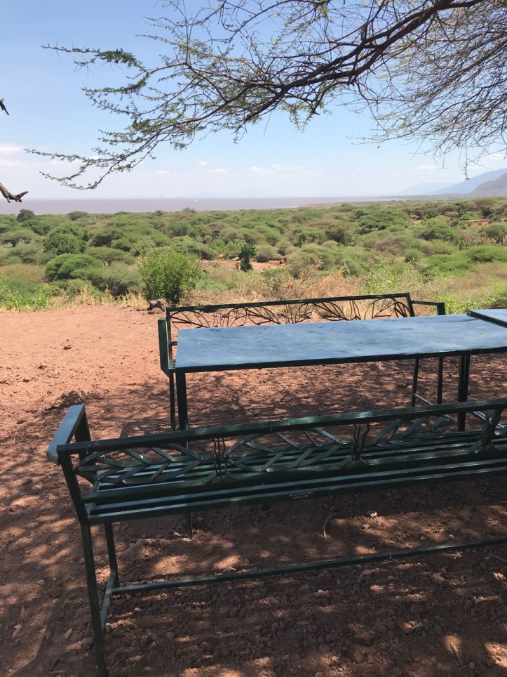 Blog_Lake Manyara - 5