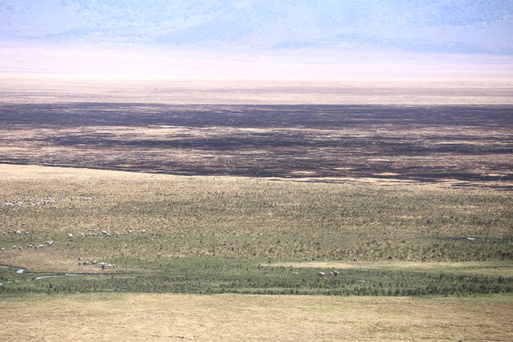 Kids on Safari: Ngorongoro Crater, Tanzania