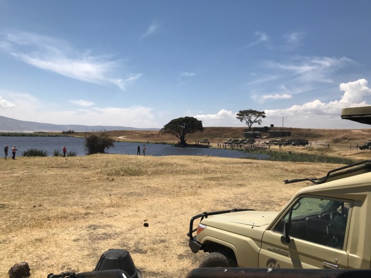 Kids on Safari: Ngorongoro Crater, Tanzania