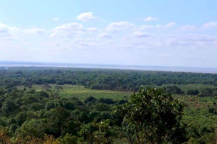 Kids on Safari: Ngorongoro Crater, Tanzania