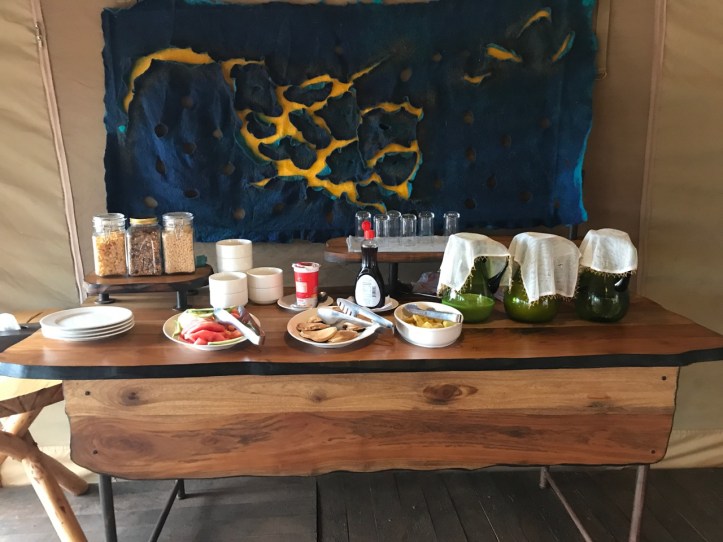 Kids on Safari: Tarangire National Park and Kichuguu Camp, Tanzania | www.carriereedtravels.com