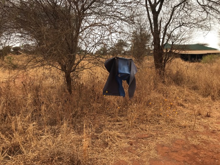 Kids on Safari: Tarangire National Park and Kichuguu Camp, Tanzania | www.carriereedtravels.com