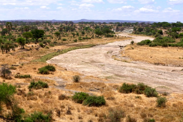 Kids on Safari: Tarangire National Park and Kichuguu Camp, Tanzania | www.carriereedtravels.com