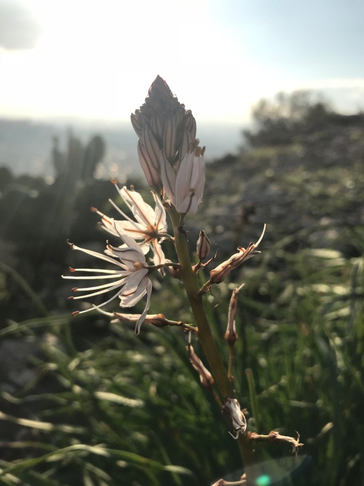 Guide to Visiting Athens, Greece with Kids | www.carriereedtravels.com