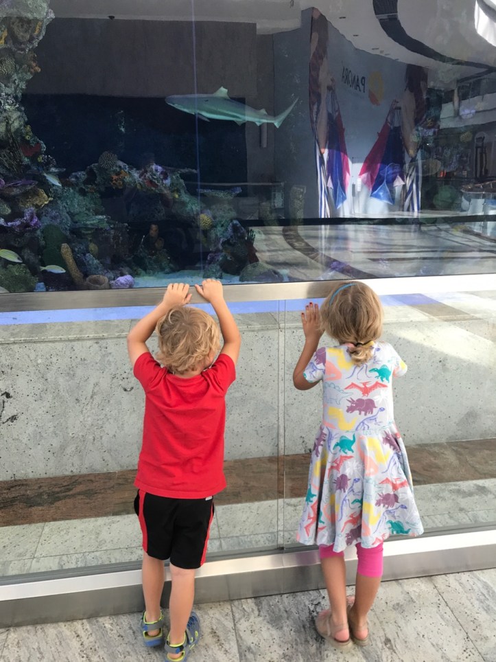 Blog First Impressions - 5