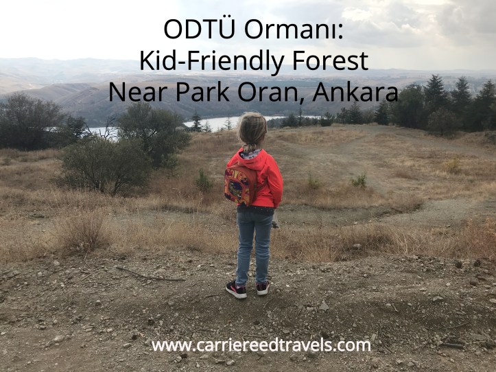 ODTÜ Ormanı: Kid-Friendly Forest Near Park Oran, Ankara | www.carriereedtravels.com
