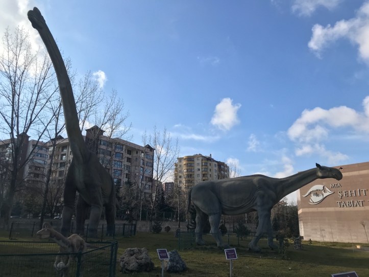 Blog Natural History Museum - 1