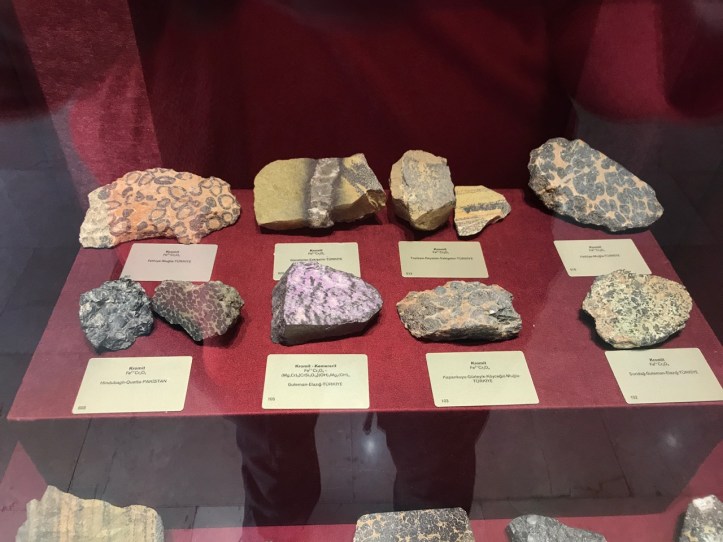 Blog Natural History Museum - 14