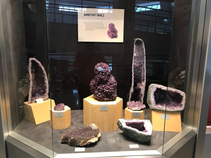 Blog Natural History Museum - 16