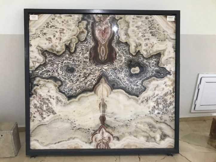 Blog Natural History Museum - 17