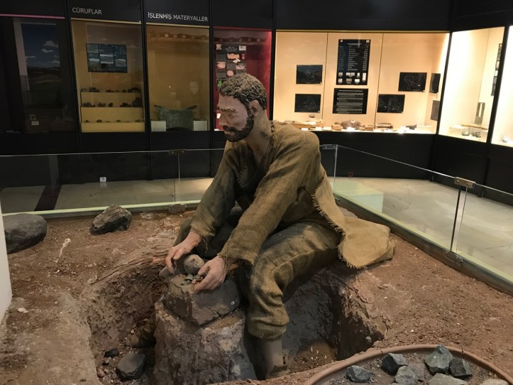 Blog Natural History Museum - 18