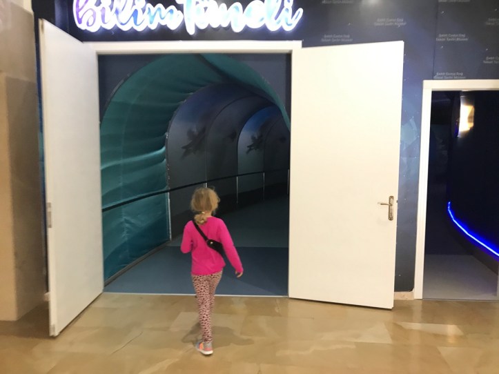 Blog Natural History Museum - 19