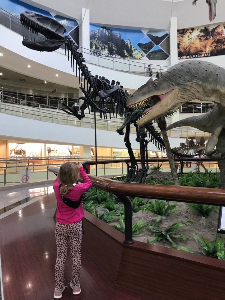 Ankara Natural History Museum | www.carriereedtravels.com