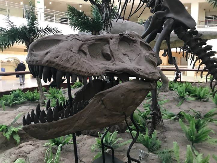 Blog Natural History Museum - 6