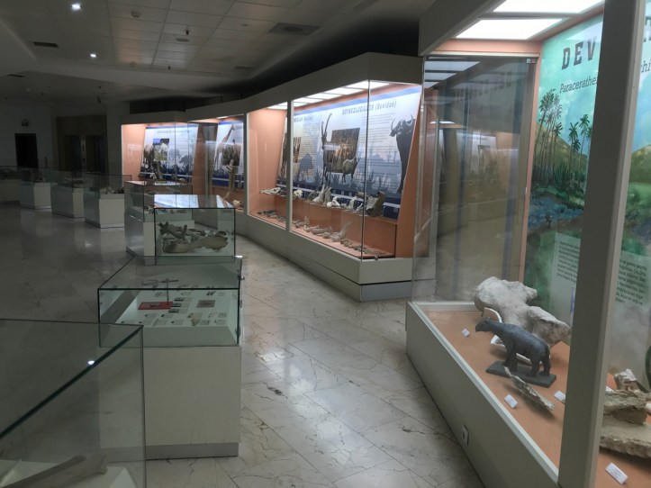 Blog Natural History Museum - 8