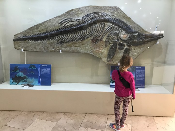 Blog Natural History Museum - 9