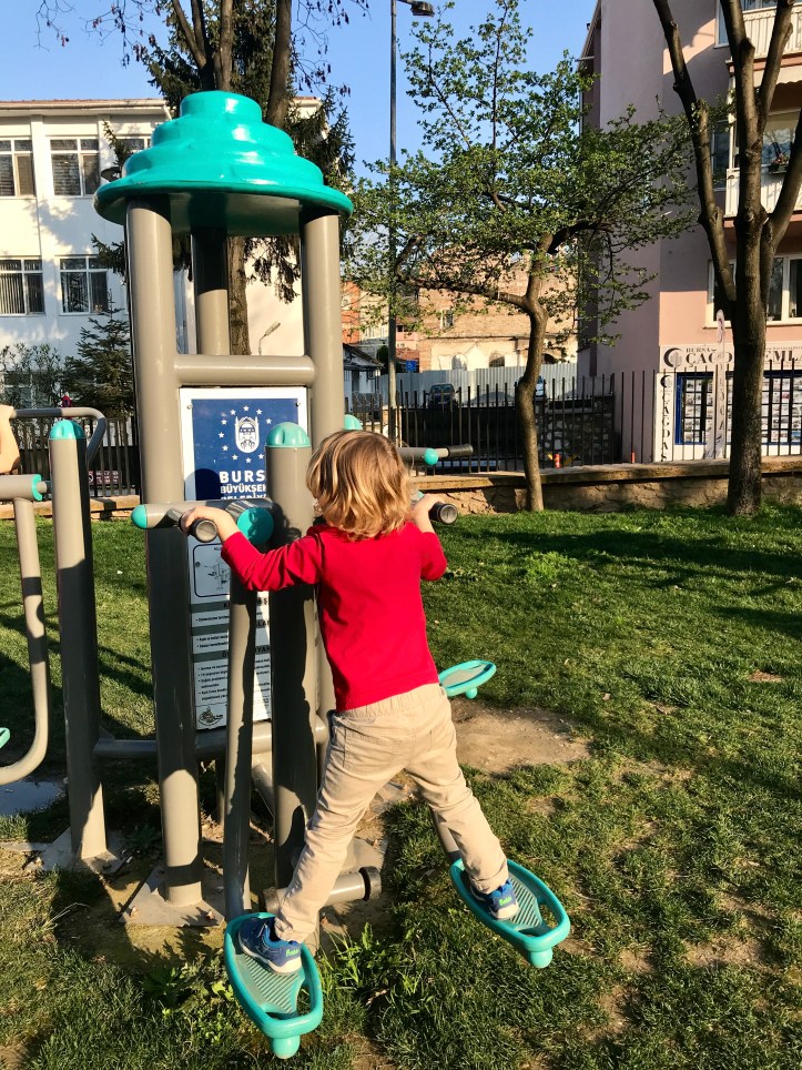 083637A7-EA6D-4A8C-AC83-6E8B5690D4F4_1_201_a