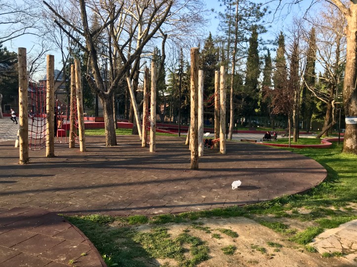 237D4600-9A21-4BBA-B8FE-39314F7D8F4D_1_201_a