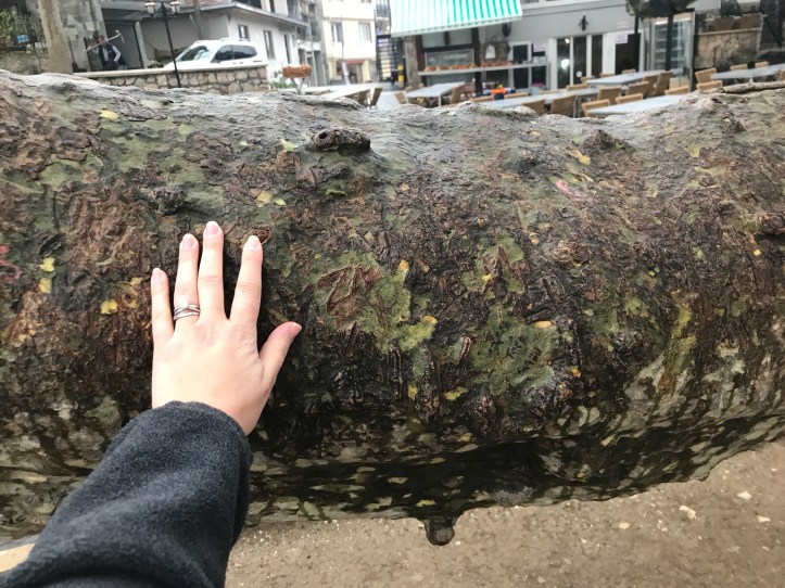 3A5B366E-A4EE-434F-8709-3872B172DDC3