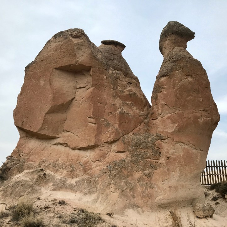 3D80FE0C-E4E8-41D8-BF5E-0A843EC97D61_1_201_a