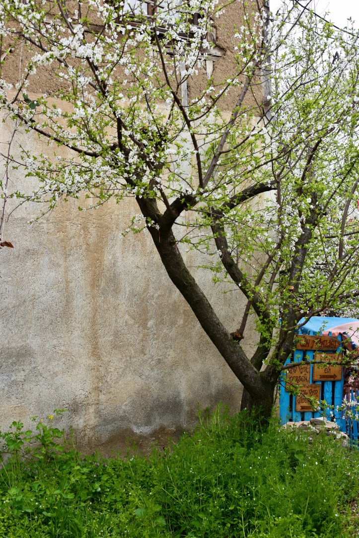 4D4E8445-E940-404C-9B16-DB70B5F1D54D_1_201_a