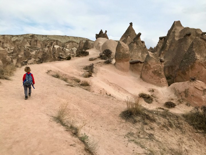 4D71DAE0-E8E7-42AC-9FA6-14FF311781FC_1_201_a