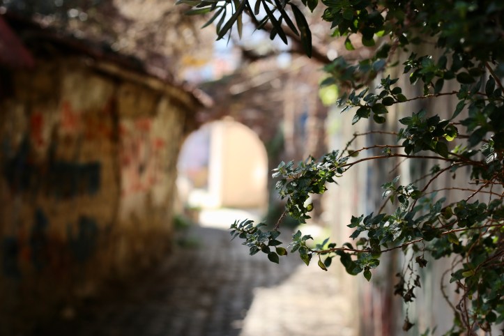 552D0A4D-B146-48CD-BEBE-EECC209ADD6F_1_201_a