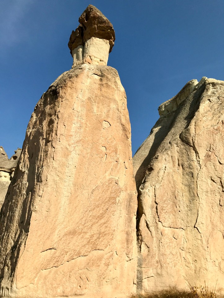 601B79DB-C50A-47BD-9813-CBAC2DA74333_1_201_a