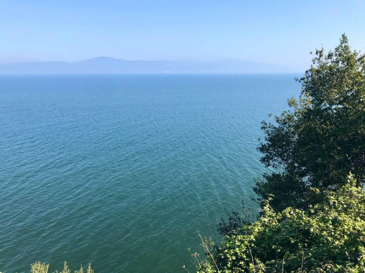 798C466C-89F0-4EDC-9D6C-61581F8D4D64_1_201_a