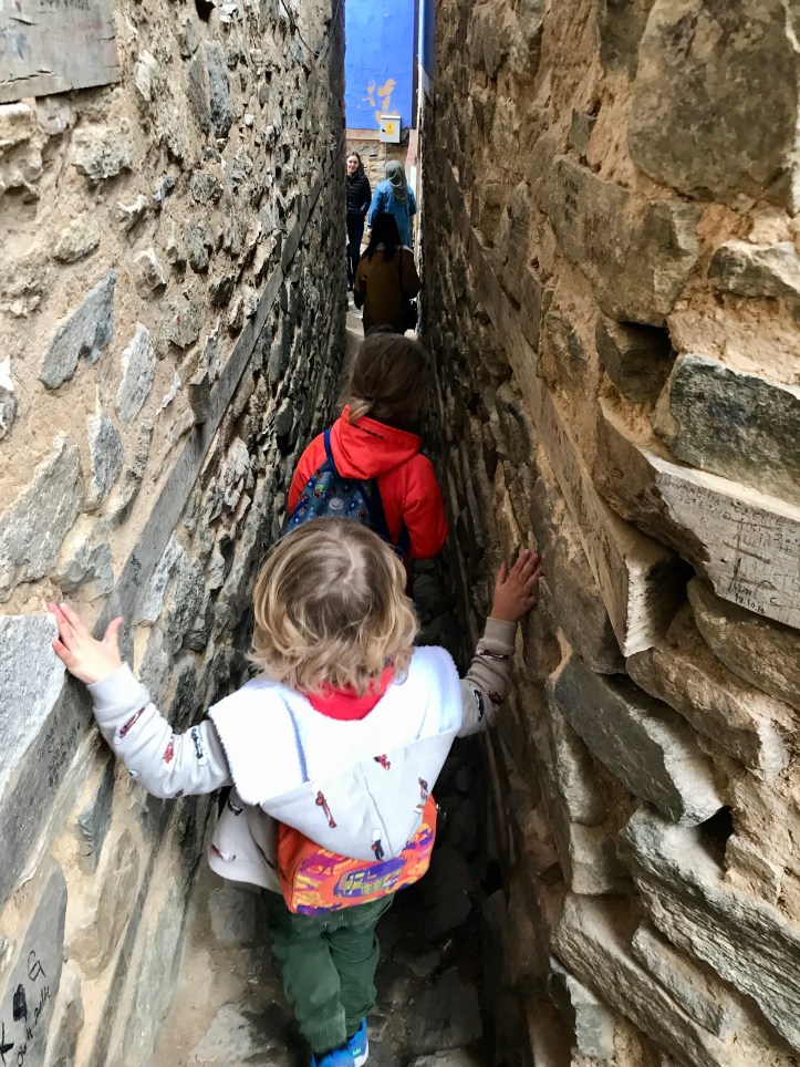 7F03F45F-35A8-4DBD-9688-1211C83DBECA_1_201_a