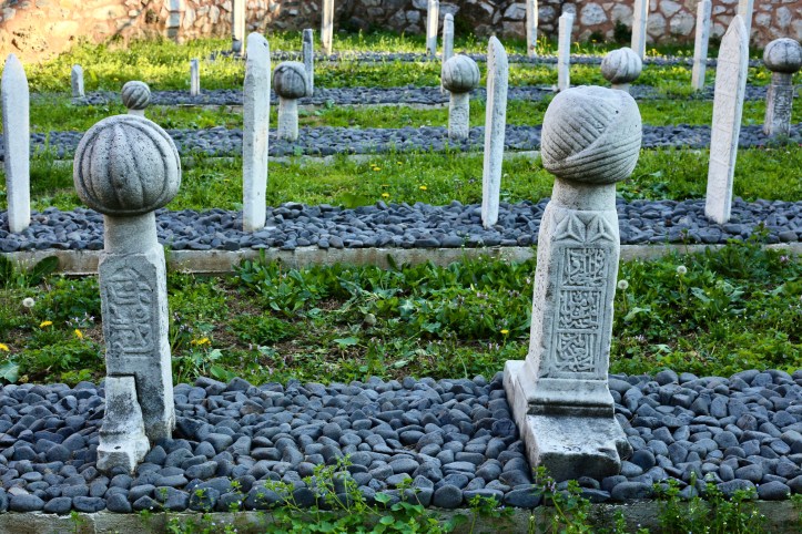 850A567C-A05F-46B7-99EB-BC241286D515_1_201_a