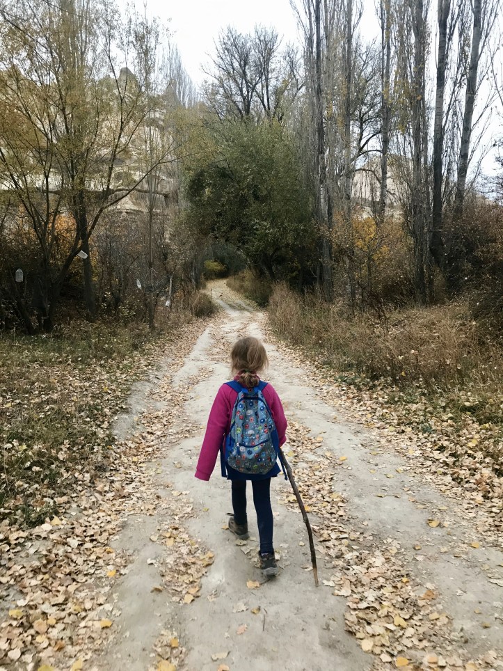 A6A8F361-A451-4107-953F-D556D3B2FD02_1_201_a