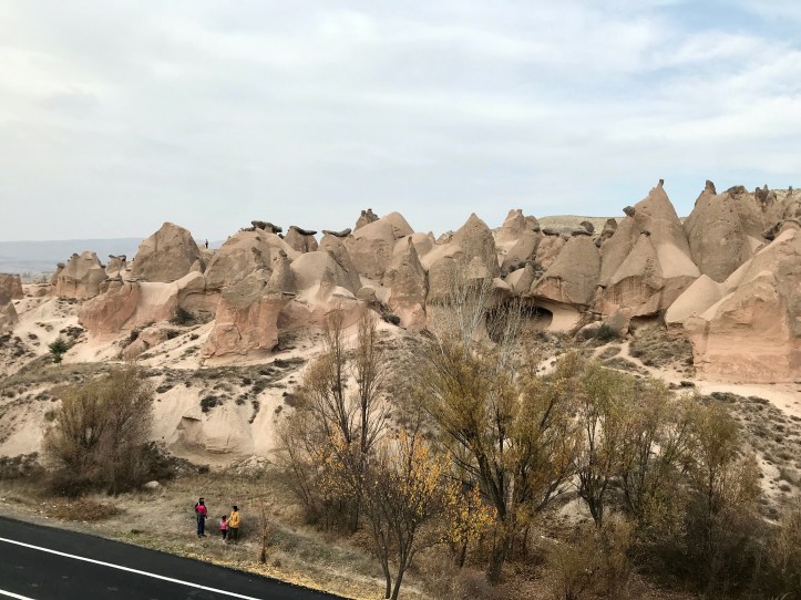 B7CCFD19-D8DE-4588-836A-365B317C89D0_1_201_a