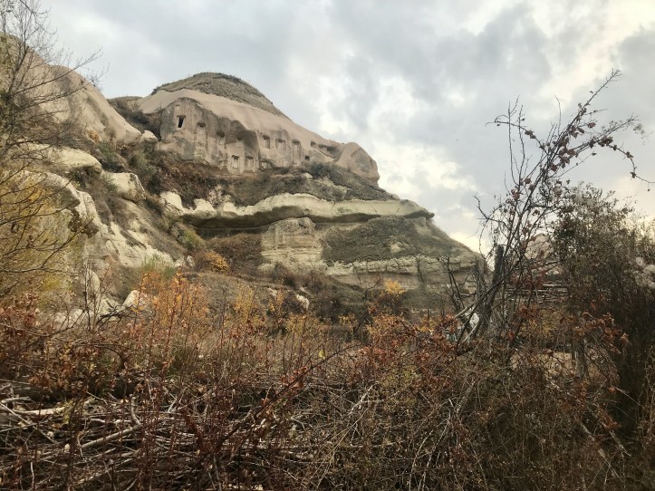 CB7885E3-882C-4253-97CB-6117A89689B5_1_201_a