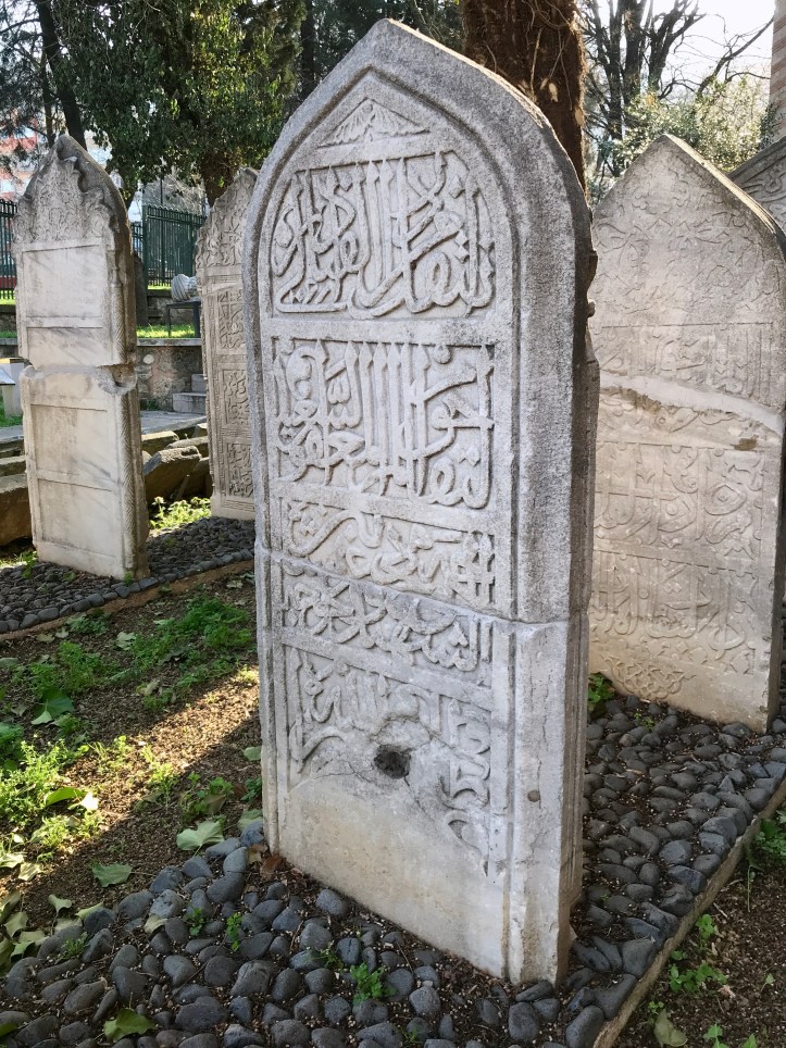 CCAE3D28-6A38-42EA-8941-F59D28D26E6D_1_201_a