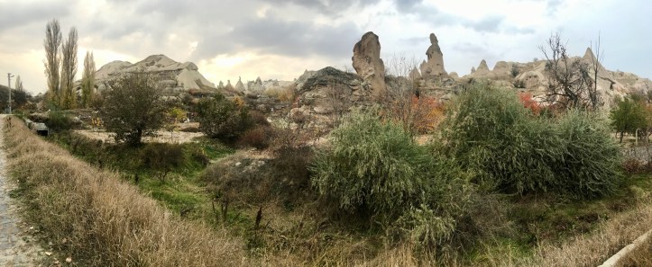 E3251043-02E0-4334-A4ED-177FC9003635_1_201_a