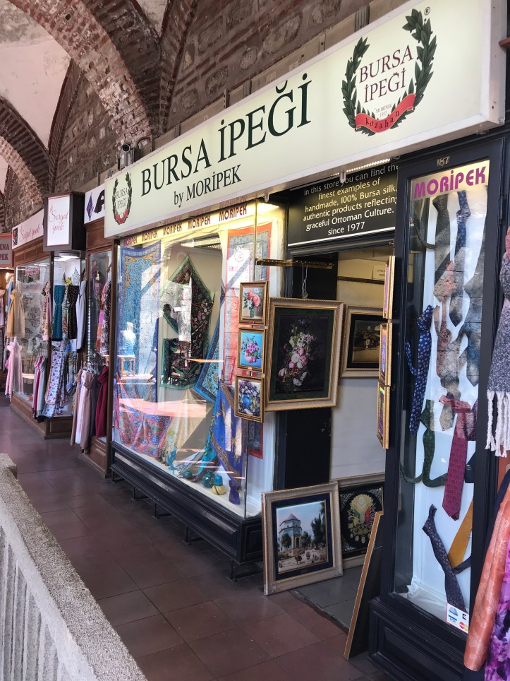 Downtown Historic Bursa Walking Tour with Kids | www.carriereedtravels.com