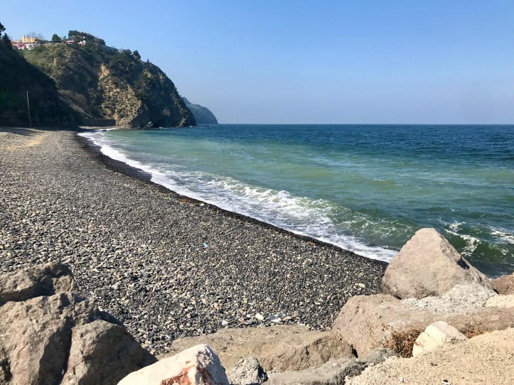 F7EF049E-692D-4372-9BD8-11482B364515_1_201_a