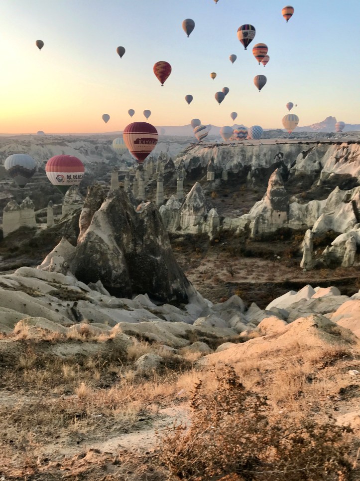 365AD0C4-2F3E-4438-B477-1572249AE17D_1_201_a