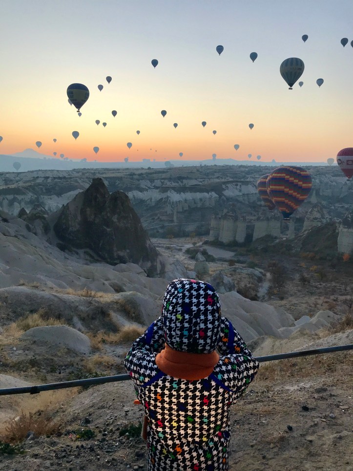 ACA5E81C-71D6-4D02-AF8C-5E361E36A2FF_1_201_a