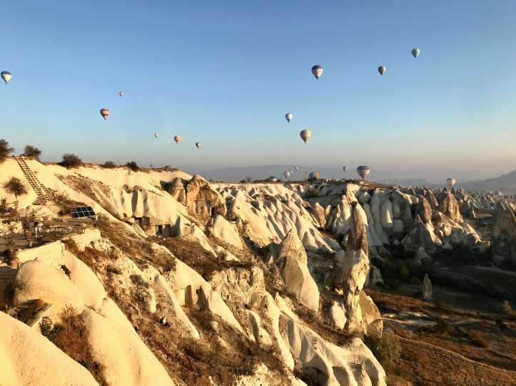 ADC7D485-4BA4-4539-8381-A916B653ED97_1_201_a