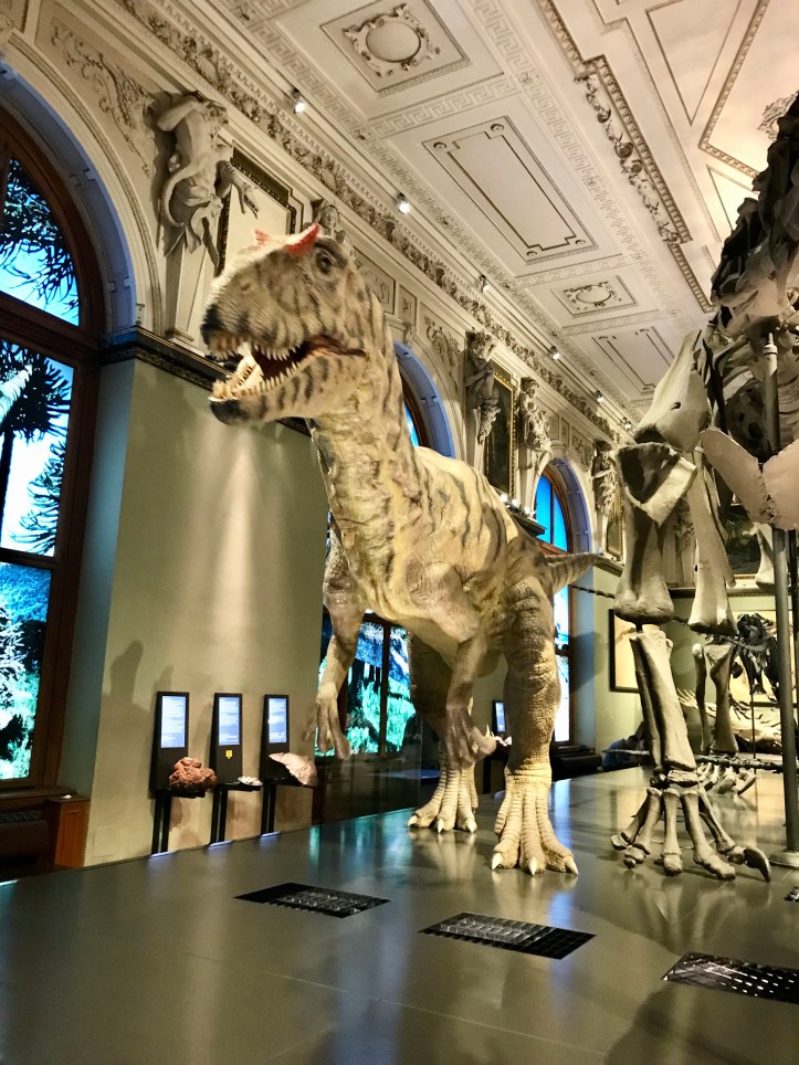 11DD3F6D-5F46-4044-A3DF-DE64D740A183_1_201_a