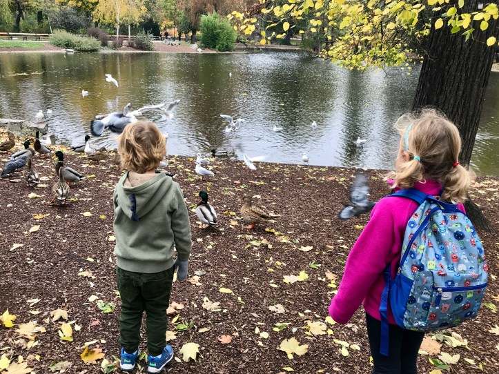 44FD575E-1D7A-417E-82D2-95A18A14A070_1_201_a