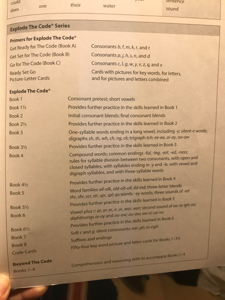 Homeschooling a Preschooler: What to Teach | www.carriereedtravels.com