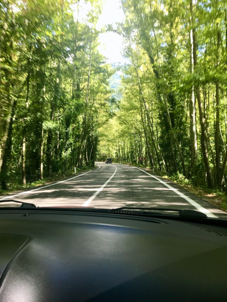 A Day Trip to Amasra, Turkey with Kids | www.carriereedtravels.com